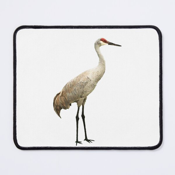 Item preview, Vista View Sandhill Crane on white designed and sold by VistaViews.