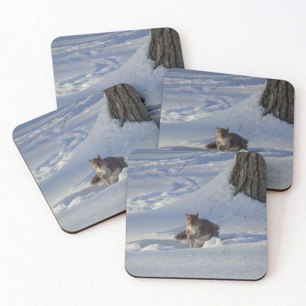 Item preview, Winter Squirrel designed and sold by catrantula.