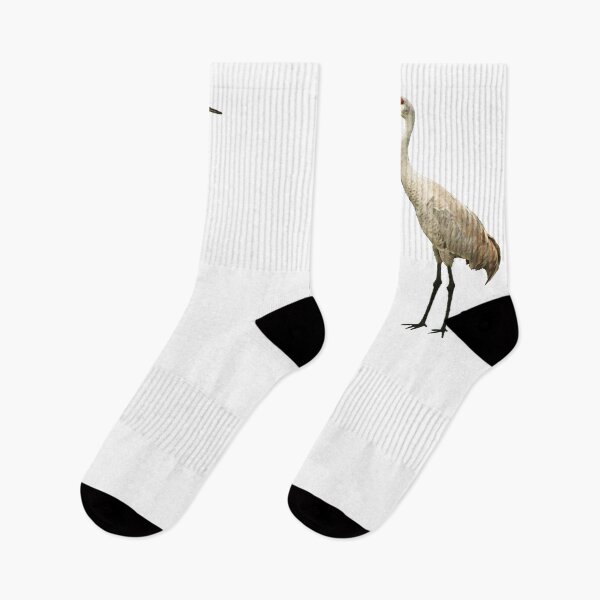 Item preview, Vista View Sandhill Crane on white designed and sold by VistaViews.