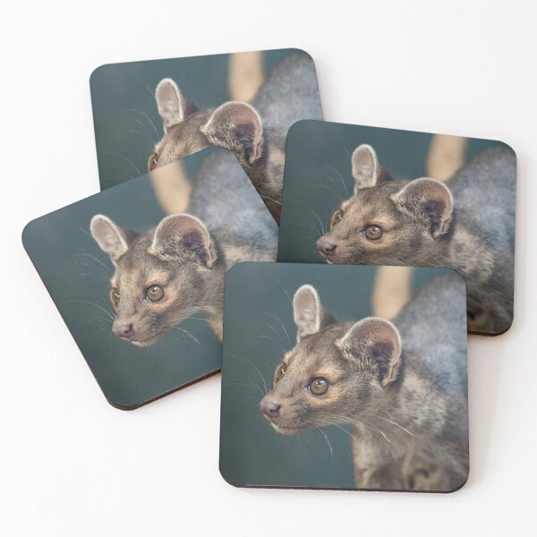 Item preview, Fosa designed and sold by Darren Wilkes.