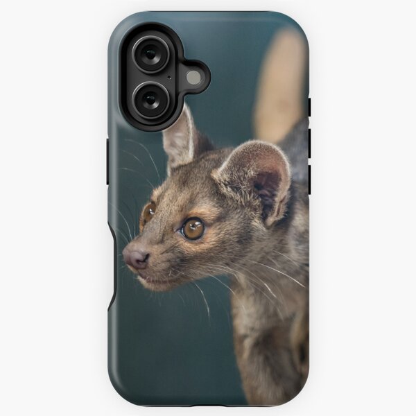 Item preview, Fossa designed and sold by Darren Wilkes.