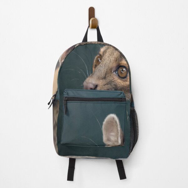 Item preview, Fossa designed and sold by Darren Wilkes.