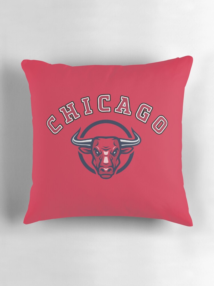 Chicago bulls pillow best sale