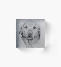Alf Acrylic Block