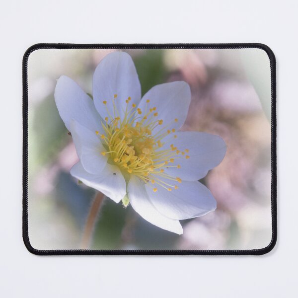 Item preview, Beautiful white wildflower designed and sold by Forestpictures.