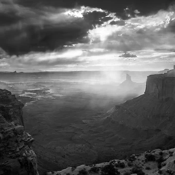 Artwork thumbnail, The Light by The Studio Red