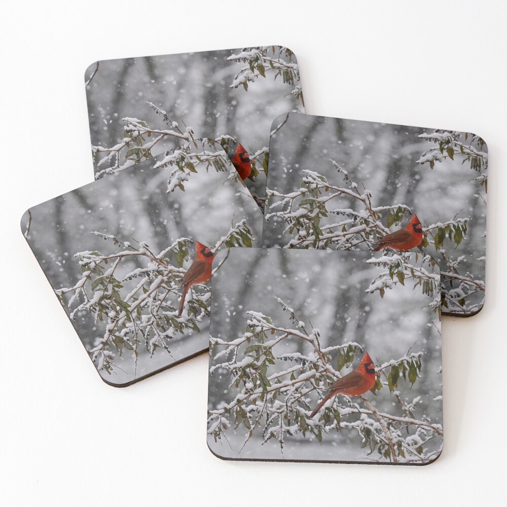Item preview, Coasters (Set of 4) designed and sold by InGFocus.