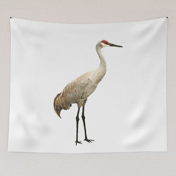 Item preview, Vista View Sandhill Crane on white designed and sold by VistaViews.