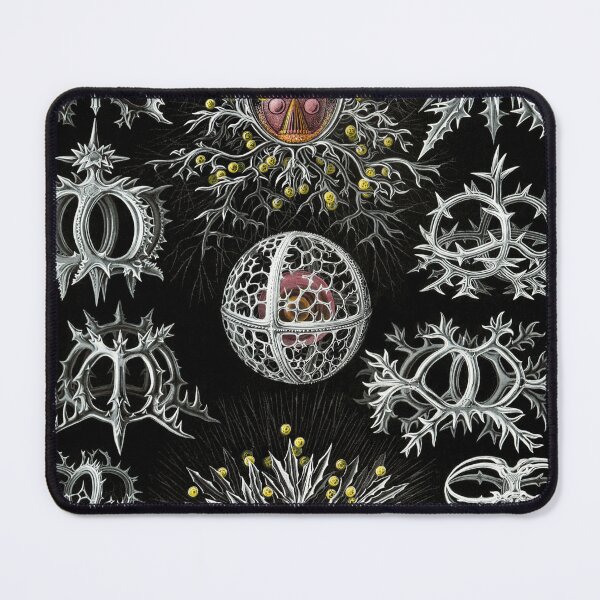 Item preview, STEPHOIDEA ,ZOOPLANKTONS OCEAN SEA LIFE SCENE IN BLACK WHITE RED designed and sold by BulganLumini.