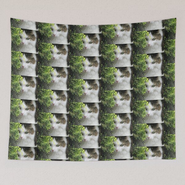 Item preview, Shy or Curious designed and sold by lynn carter.
