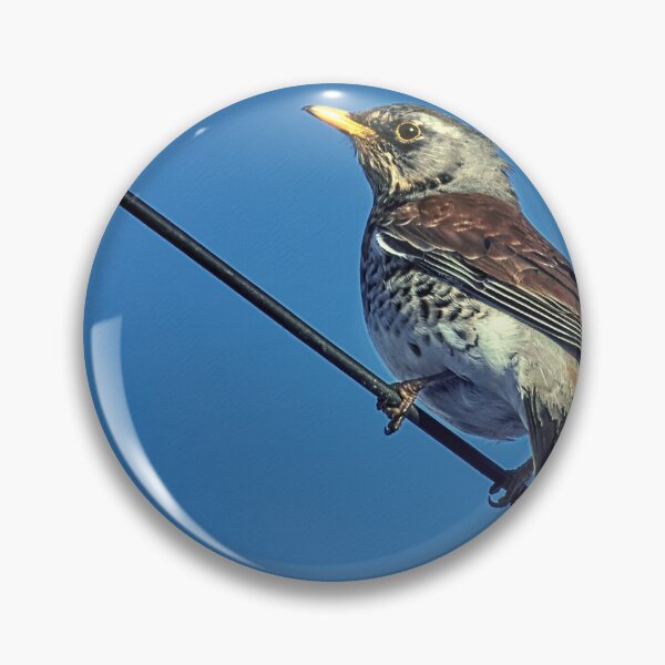 Item preview, Fieldfare on Wire designed and sold by Tom McPherson Photography.