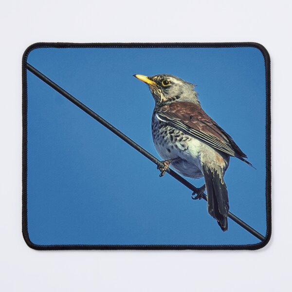 Item preview, Fieldfare on Wire designed and sold by Tom McPherson Photography.