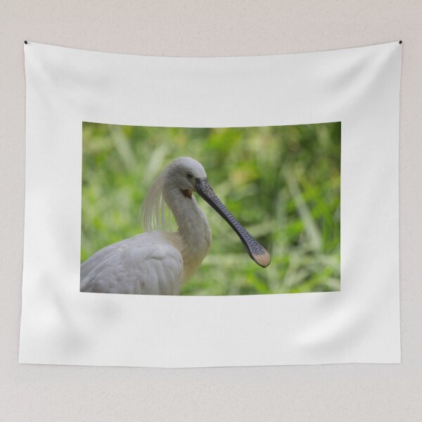 Item preview, Eurasian spoonbill designed and sold by pietrofoto.