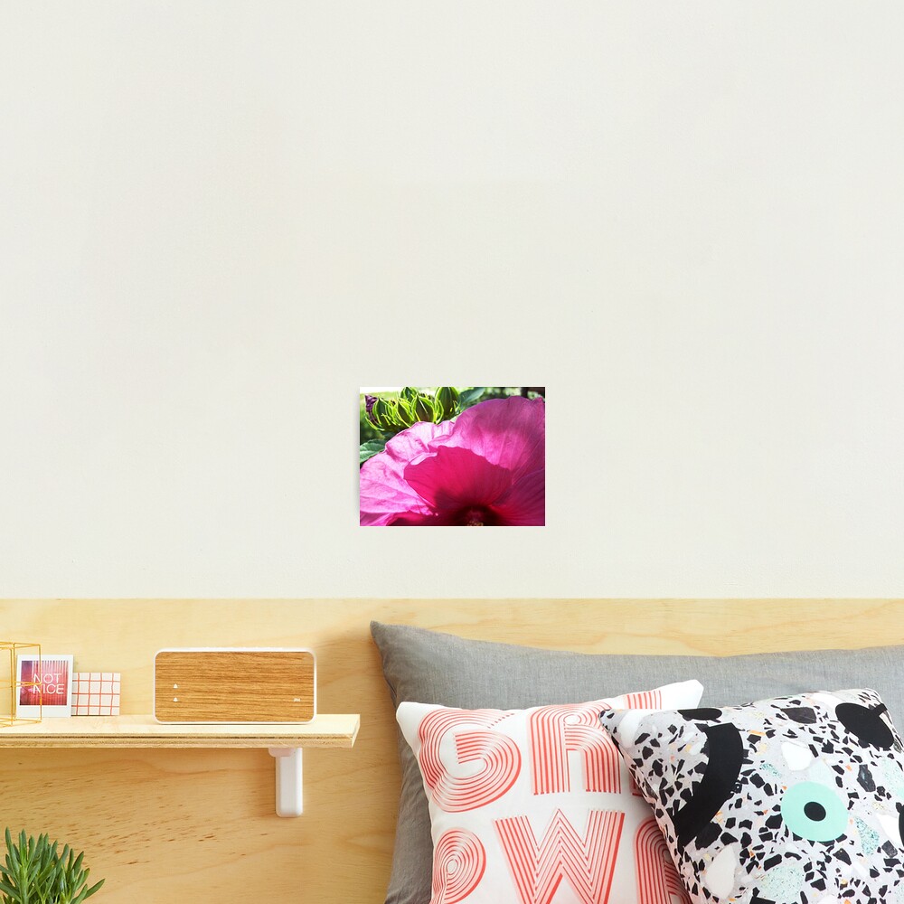 Item preview, Photographic Print designed and sold by RagingKitty.