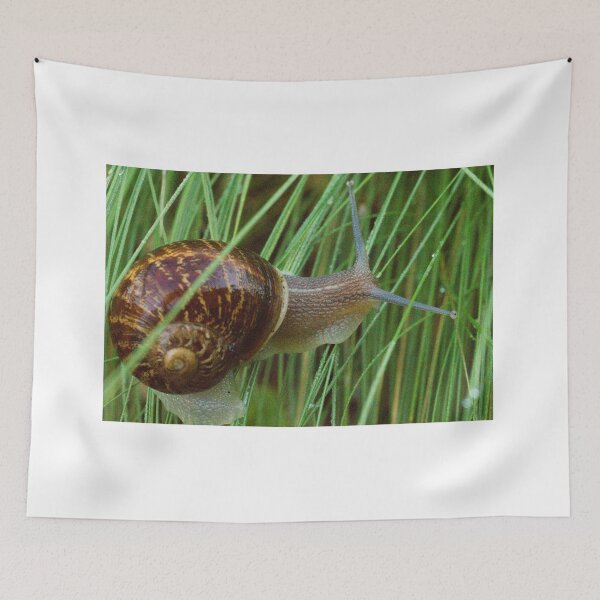 Item preview, Garden Snail designed and sold by ptosis.