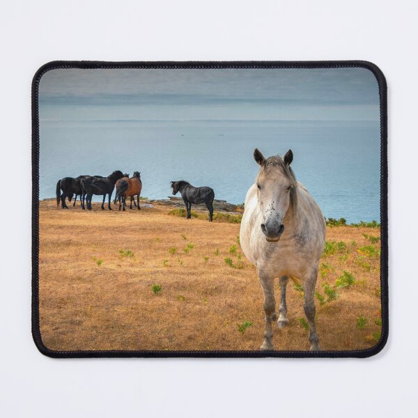 Item preview, Apart from the Others designed and sold by Viv Thompson Photography .