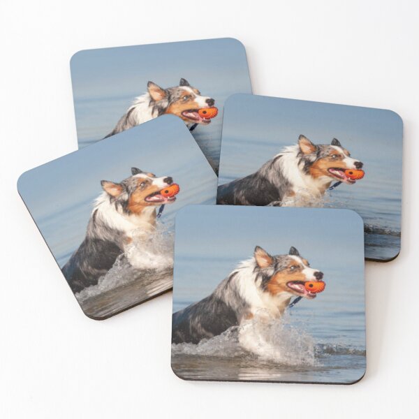Item preview, Australian Shepherd Best Friend With Ball In Water, Berger Australien designed and sold by DesignVertex.