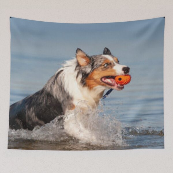 Item preview, Australian Shepherd Best Friend With Ball In Water, Berger Australien designed and sold by DesignVertex.