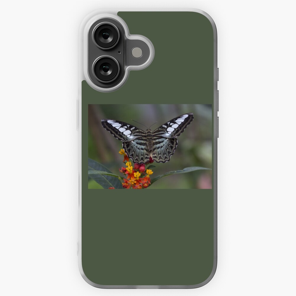 Item preview, iPhone Soft Case designed and sold by pietrofoto.