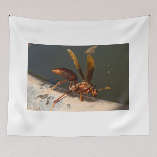 Item preview, Horse's Paper Wasp designed and sold by ptosis.