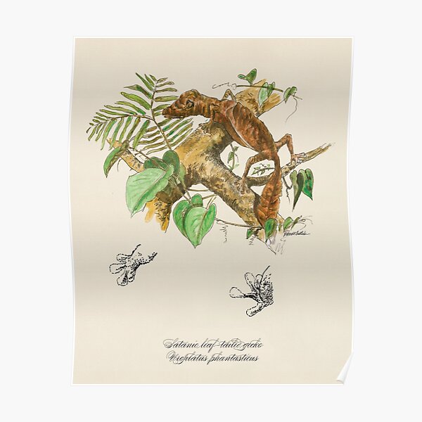 Lizard Gecko print, Satanic leaf-tailed watercolor, illustration, luxury gift art, Madagascar Poster