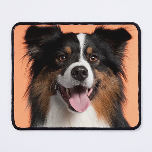 Item preview, Australian Shepherd Best Friend Dog Portrait, Berger Australien designed and sold by DesignVertex.