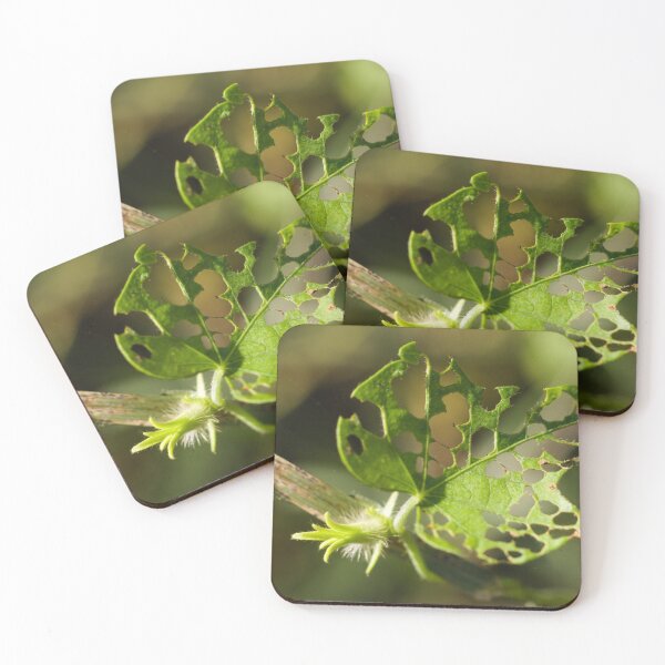 Item preview, Leaf Cutting Pattern designed and sold by ptosis.