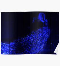 blue Poster