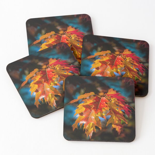 Item preview, Autumn Colors  designed and sold by PitoFotos.
