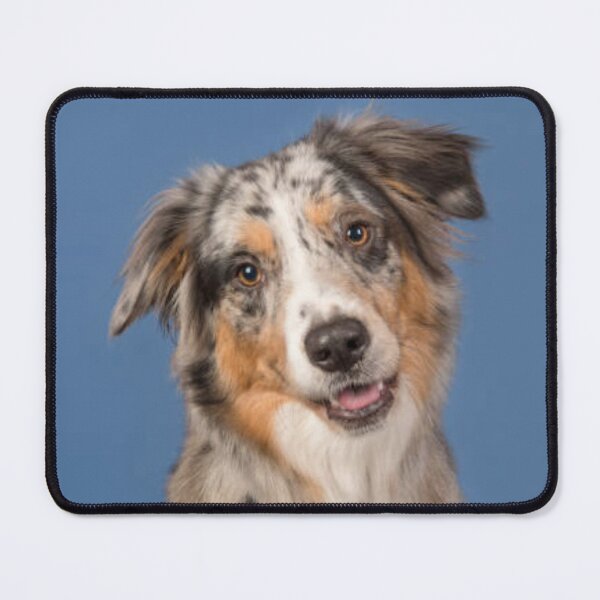 Item preview, Australian Shepherd Best Friend Dog Portrait, Berger Australien designed and sold by DesignVertex.