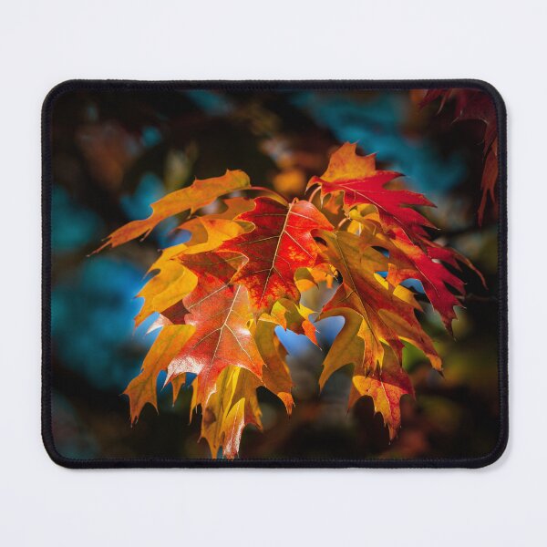 Item preview, Autumn Colors designed and sold by PitoFotos.