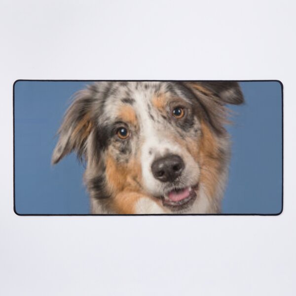 Item preview, Australian Shepherd Best Friend Dog Portrait, Berger Australien designed and sold by DesignVertex.