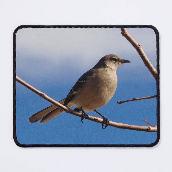 Item preview, Northern Mockingbird designed and sold by ptosis.