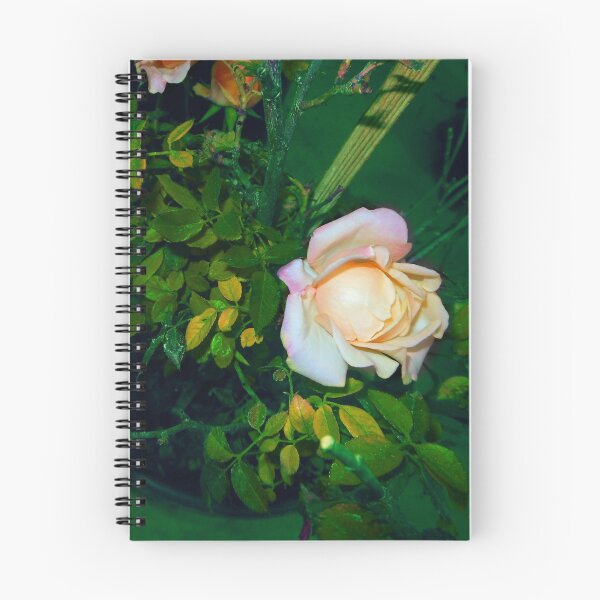 Item preview, two cream roses, green 11/11/17 designed and sold by Shellaqua.