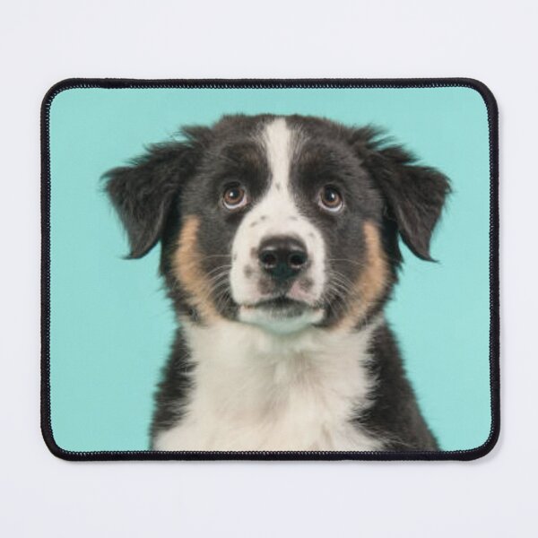 Item preview, Australian Shepherd Best Friend Dog Portrait, Berger Australien designed and sold by DesignVertex.