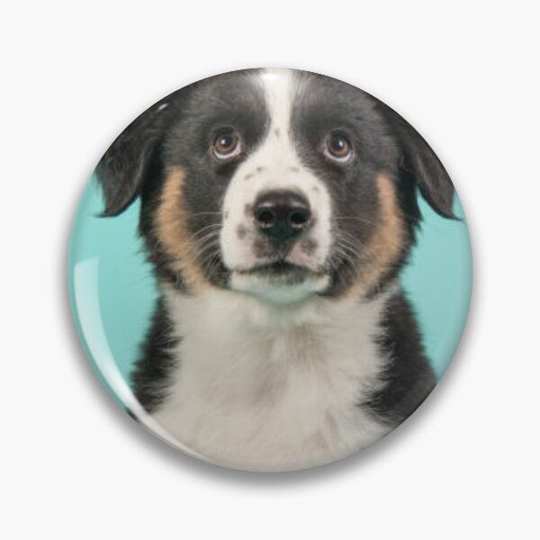 Artikelvorschau, Australian Shepherd Best Friend Hundeportrait, Berger Australien entworfen und verkauft von DesignVertex.