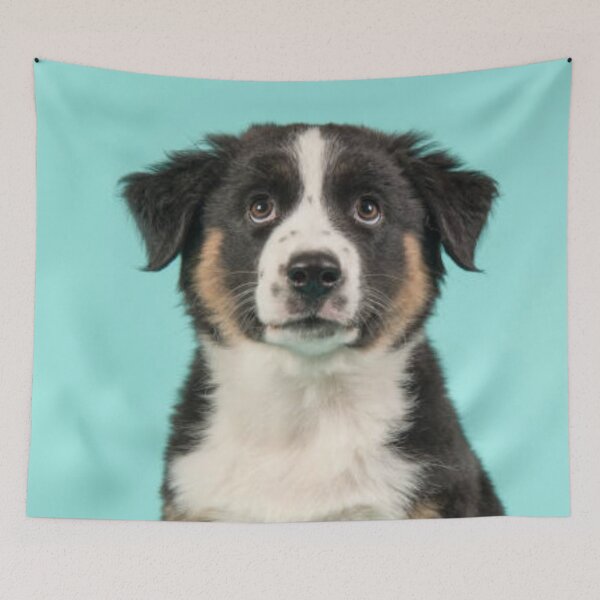 Item preview, Australian Shepherd Best Friend Dog Portrait, Berger Australien designed and sold by DesignVertex.