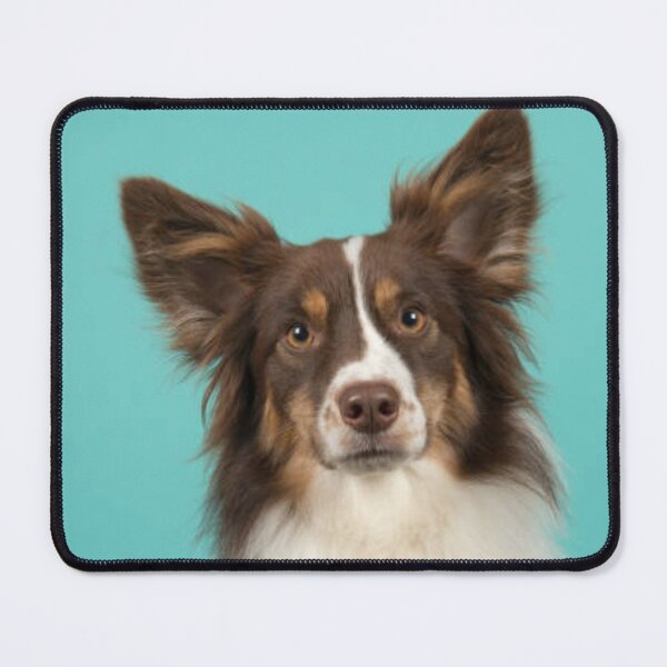 Item preview, Australian Shepherd Best Friend Dog Portrait, Berger Australien designed and sold by DesignVertex.