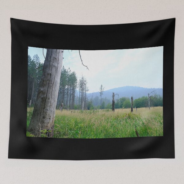 Item preview, Unknown Landscape 8 Field designed and sold by chillbilldill.