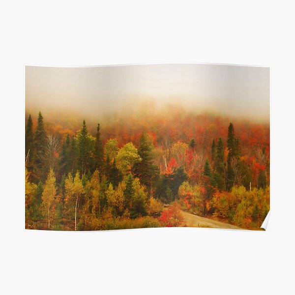 september colors 02 Poster