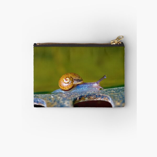 Item preview, Snail trail! designed and sold by Martyn Franklin.