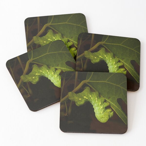 Item preview, Typhon Sphinx Caterpillar designed and sold by ptosis.
