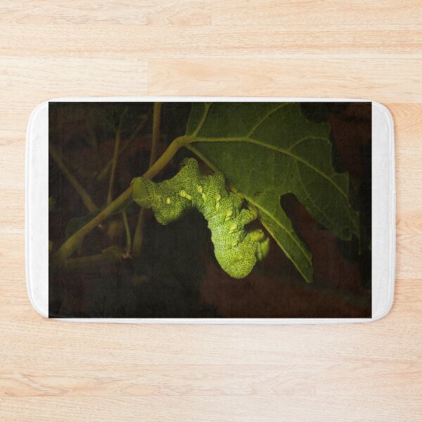 Item preview, Typhon Sphinx Caterpillar designed and sold by ptosis.