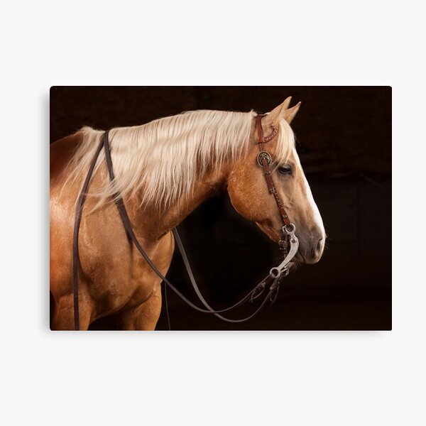 Aperçu de l'œuvre Cheval Quarter Horse Palomino au ranch DSR créée et vendue par HiddenRockRanch.