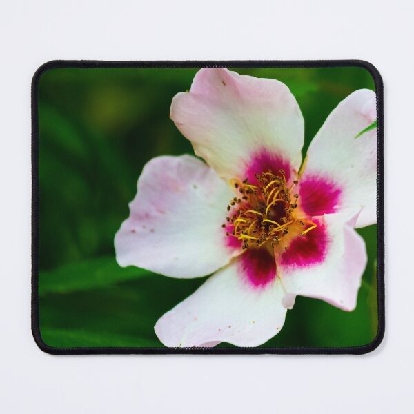 Item preview, Flower designed and sold by craigewmcg123.