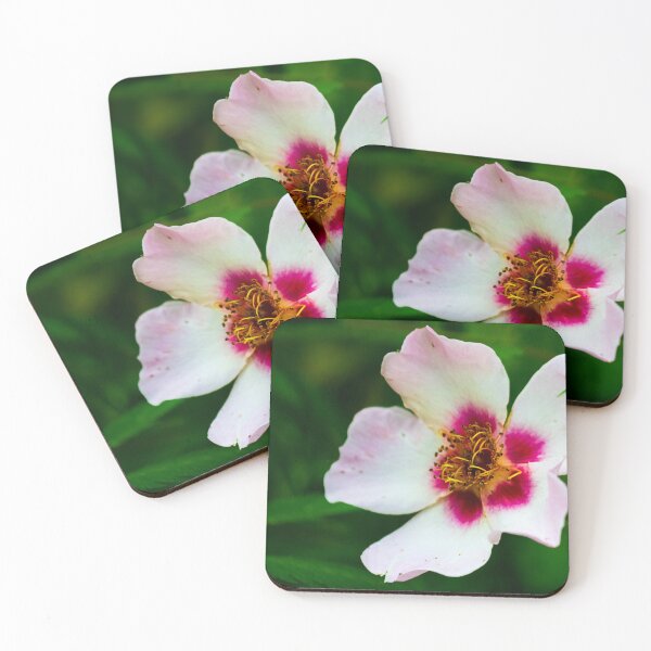 Item preview, Flower designed and sold by craigewmcg123.