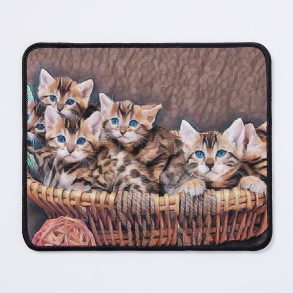 Item preview, Kittens in a basket designed and sold by MilicaaD.