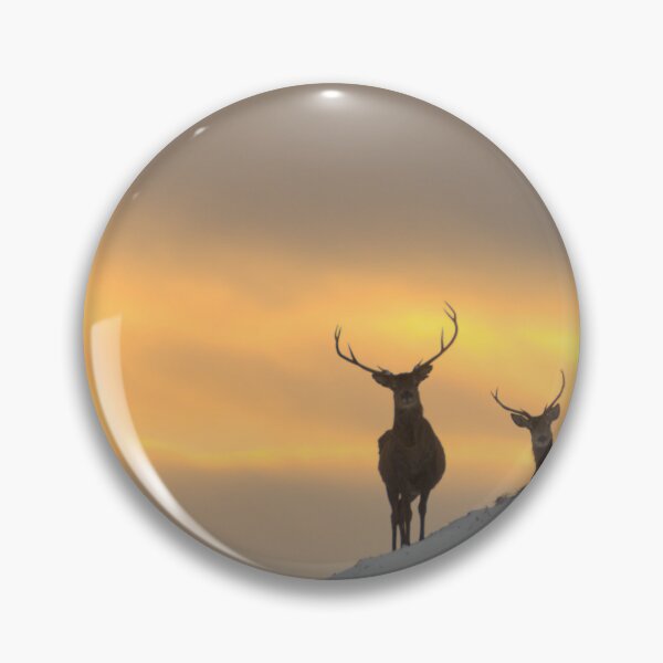 Item preview, Winter Sunset in Strathglass designed and sold by Macrae images.