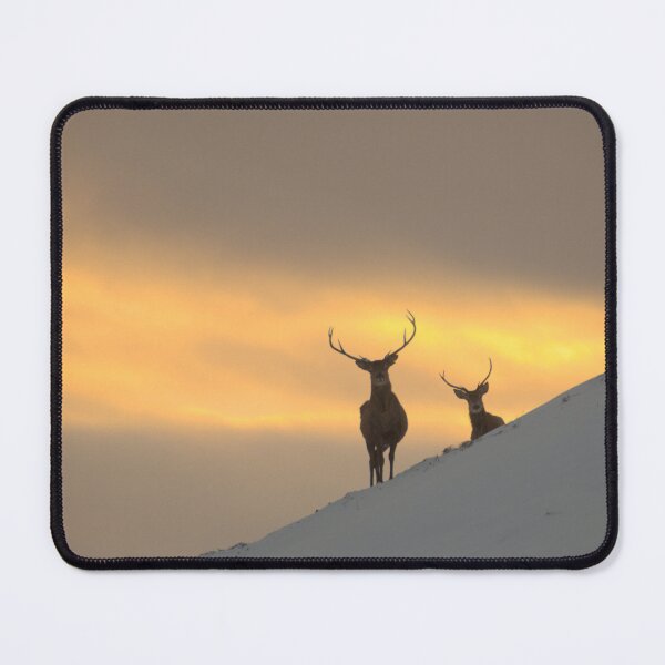 Item preview, Winter Sunset in Strathglass designed and sold by Macrae images.