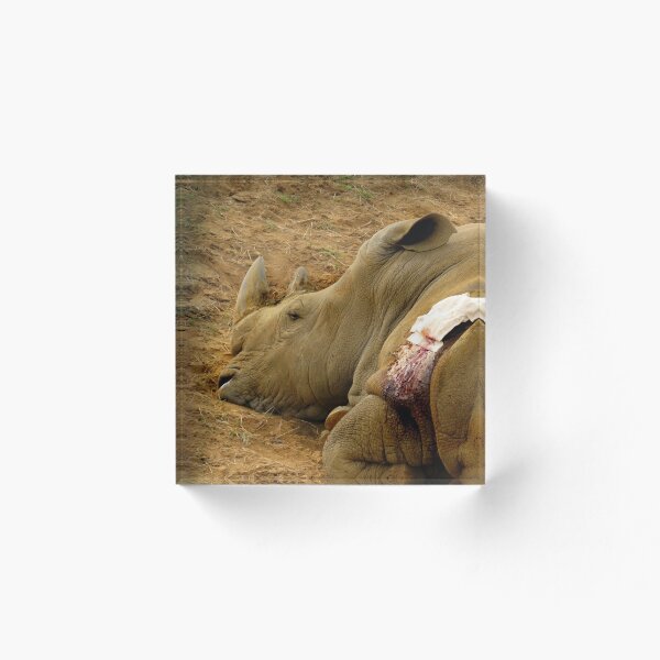 Item preview, On the Losing side designed and sold by Sandra Willis.